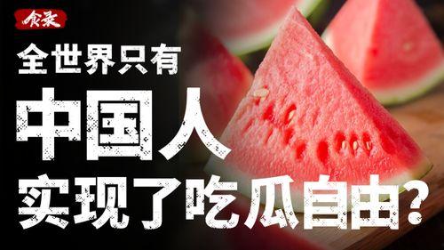 娱乐吃瓜酱财富自由