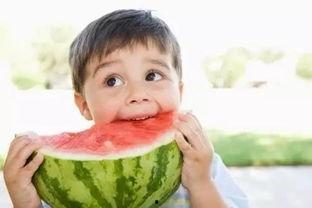 娱乐吃瓜酱什么都能记住